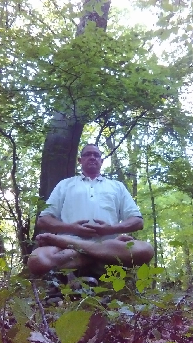 Bos meditatie.jpg